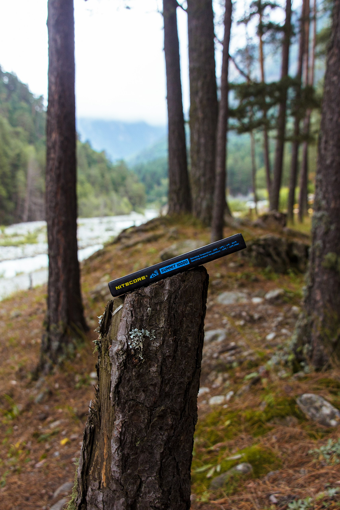 Power Bank NITECORE лежит на пне дерева, в лесу.